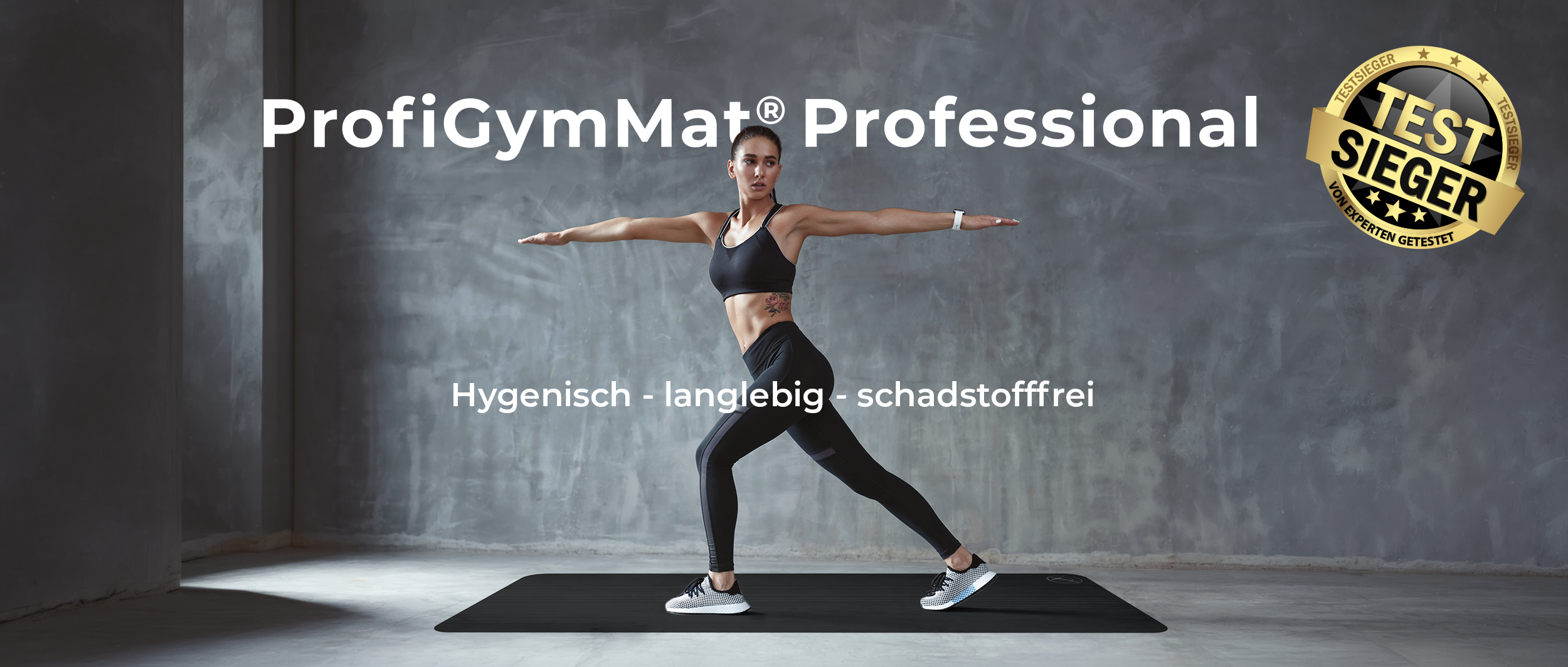 Profigymmat_professional