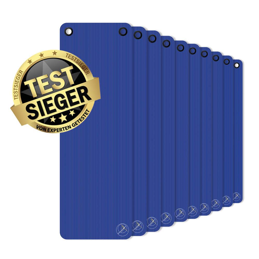ProfiGymMat Professional 10er-Set 180x60x1,0cm Blue incl. eyelets