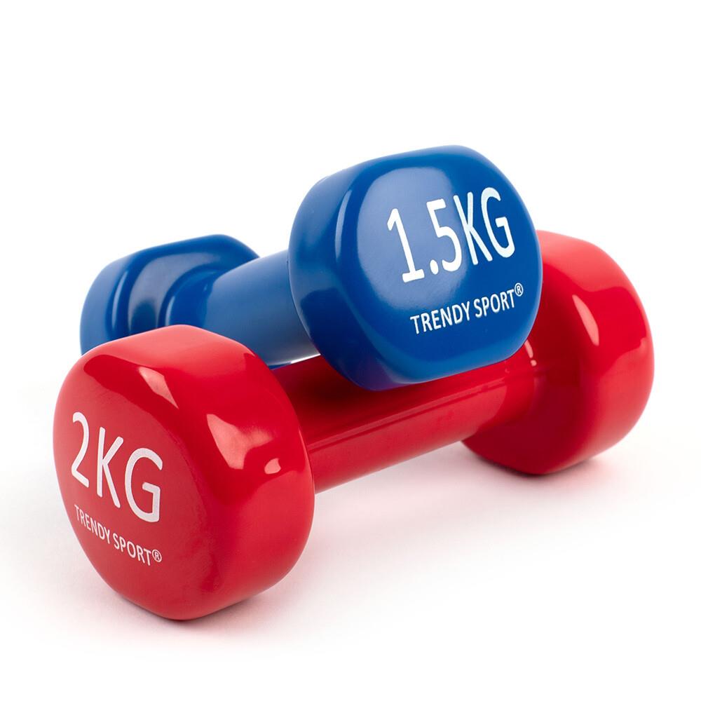 Dumbbells Vinyl 1,5kg and 2,0kg